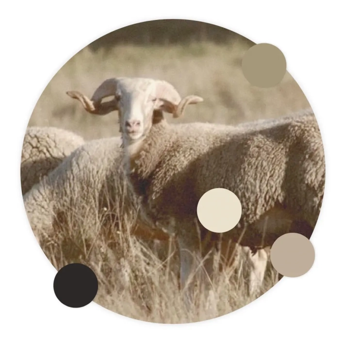 Rotas e Sabores Regionais by Ricardo Neves -10